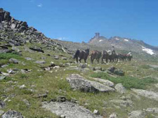 USA-Wyoming-Wind River Wilderness Horse Ranch